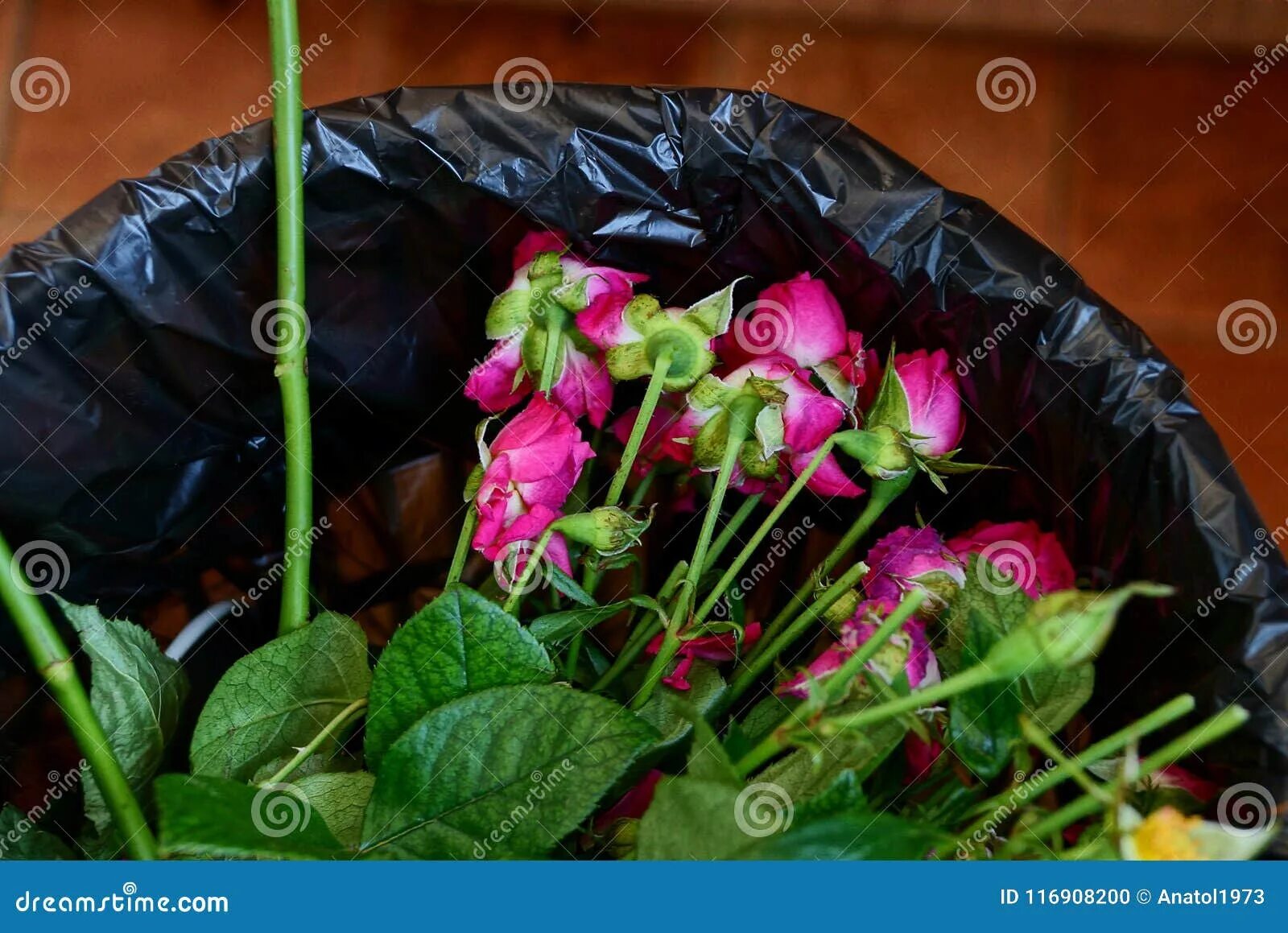 Розы в мусорном ведре. Букет в мусорном ведре. Розы в помойном ведре. Выброшенный букет. Цветы в мусорке
