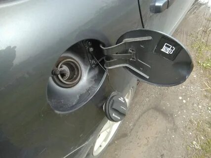 Бак калина универсал