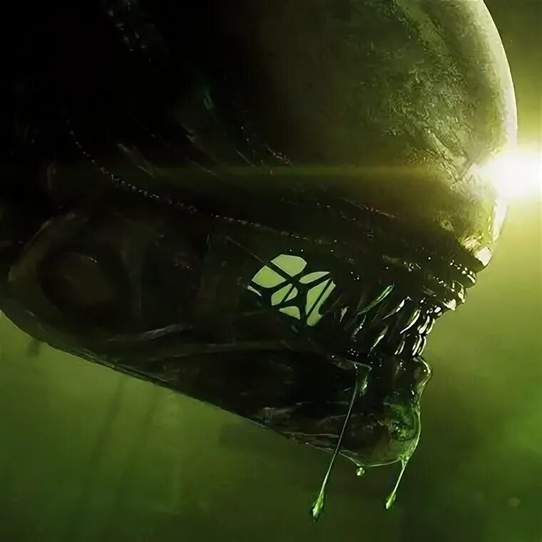 Башня пигмеев к хс. Карта чудастер хартстоун. Творец теней скраббс hearthstone. Hsguru. Hsguru.