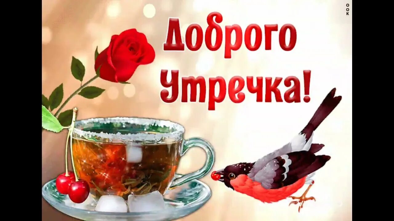 Здорово утро счастливого утра. С добрым утром. Открытка здорового утра. Утречка доброго здоровья крепкого. Доброе утро прекрасного дня.