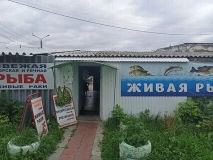 Рыбный рай