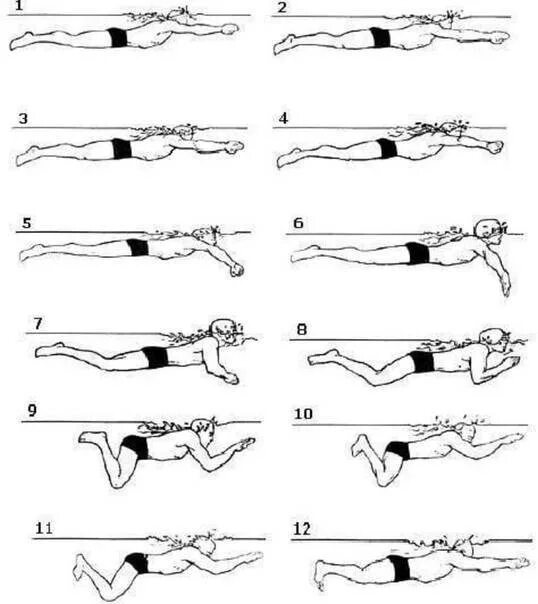 Упражнения научиться плавать. Кроль брасс Баттерфляй. Брасс и Кроль техника плавания. Техника плавания брассом. Стиль плавания Кроль брасс.