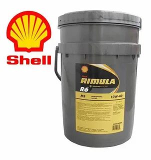 Shell rimula