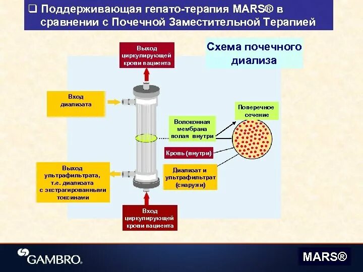 Диализ белков. Диализ схема проведения. Диализ схема. Диализ схема проведения биохимия. Диализ принцип метода.