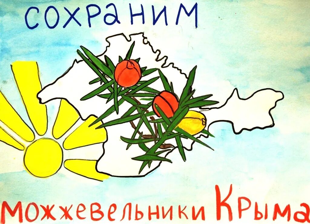 акция сохраним можжевельник крыма. листовка в защиту можжевельника. акция сохраним можжевельник крыма. сохраним можжевельники крыма. сохраним можжевельники крыма конкурс.