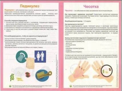 Чесотка профилактика
