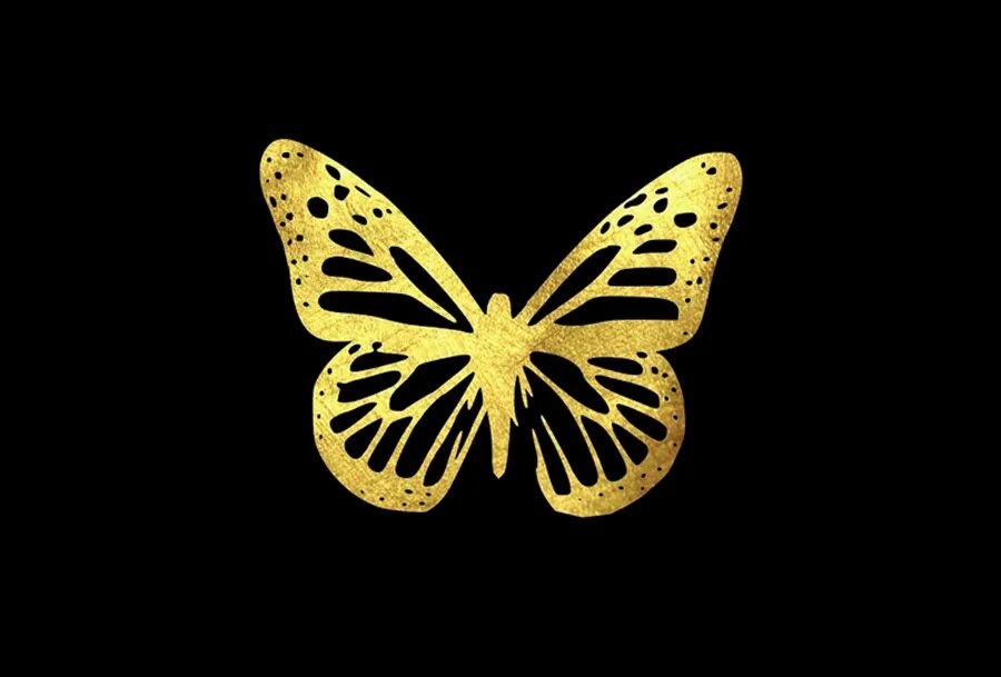 Золотая бабочка. Золотистая бабочка. Бабочка с золотыми крыльями. Бабочка золотой контур.
