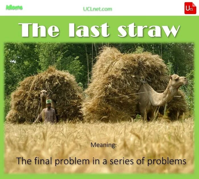 Breaks the camel s back. The final straw идиома. the last straw. idioms: final straw. the last straw that broke the camel s back.
