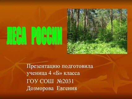 Лес презентация 3 класс