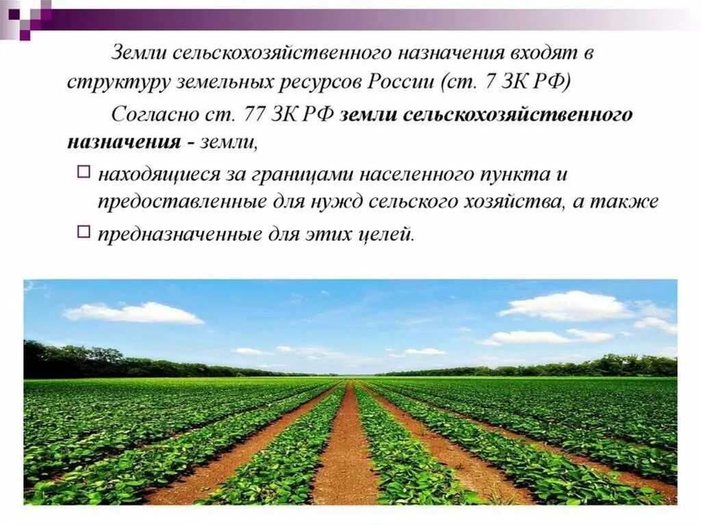 Сельскохозяйственные земли в россии занимают площадь. Земли сельскохозяйственного назначения. Земельный участок для ведения сельского хозяйства. Земли с/х использования. Земли сельскохозяйственного назначения презентация.