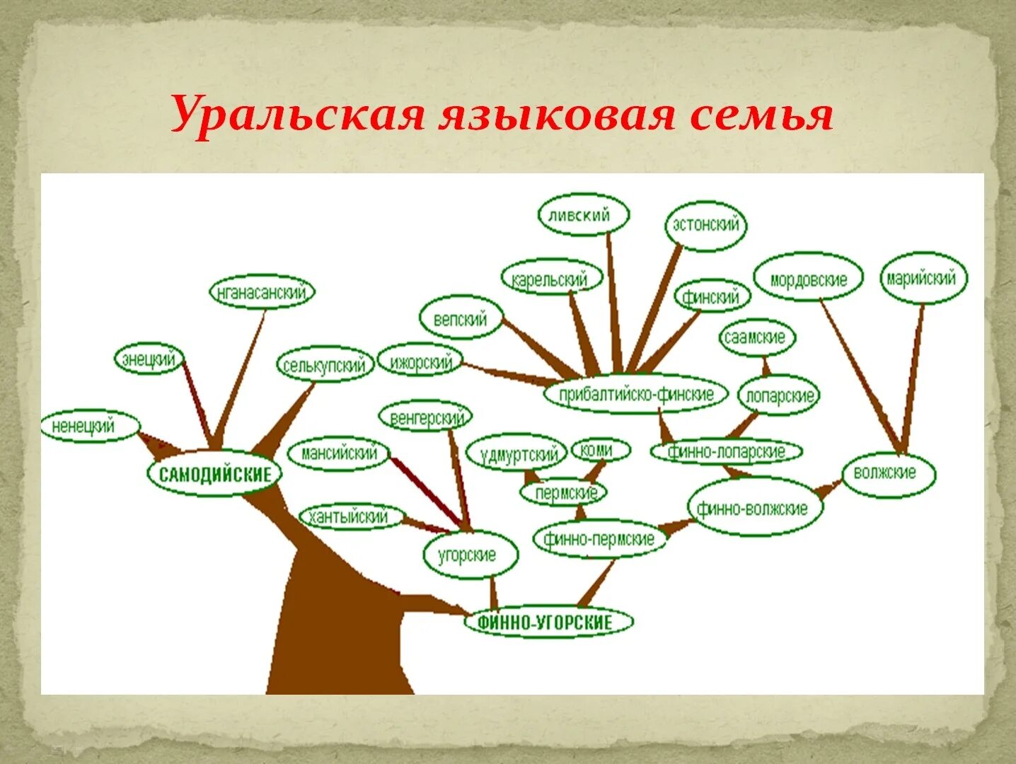 Уральская семья какие народы. Уральская языковая семья Древо. Уральская языковая семья схема. Языковое Древо финно-угров. Финно угорская языковая семья дерево.