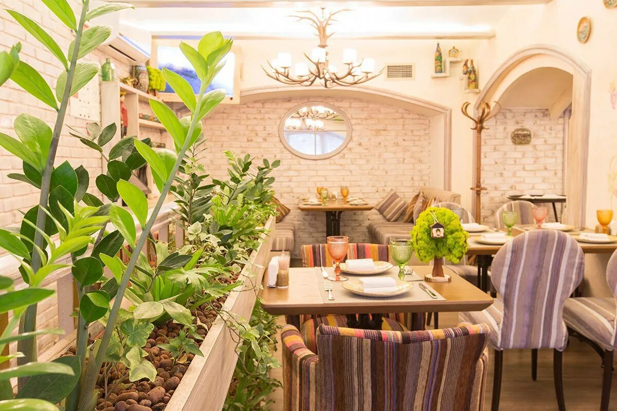 Средиземноморский ресторан. Растения в ресторане. Кафе с растениями. Ресторан средиземноморской кухни. Цветочный ресторан в москве розовый