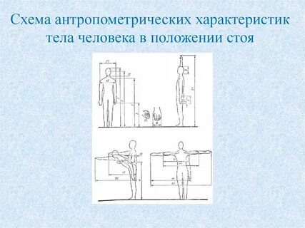 Параметры человека