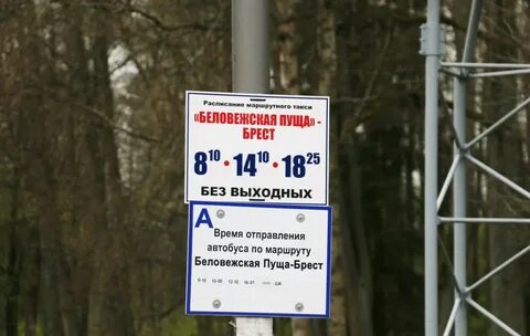 Расстояние от бреста до беловежской пущи