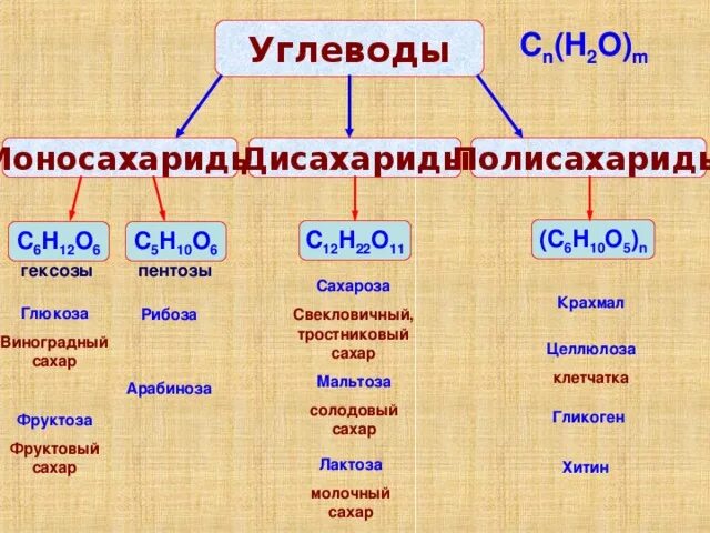 Моносахаридом является углевод. К моносахаридам относятся. к моносахаридам относятся глюкоза рибоза фруктоза. к моносахаридам относятся глюкоза. к углеводам моносахаридам относятся.