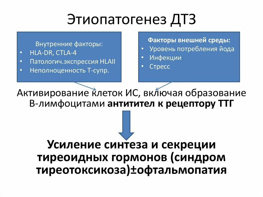 Диффузный токсический зоб гормоны. Диффузный токсический зоб механизм развития. Патогенез диффузного тиреотоксического зоба. Этиология ДТЗ. Патогенез диффузного токсического зоба схема.