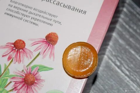 Эхинацея таблетки отзывы