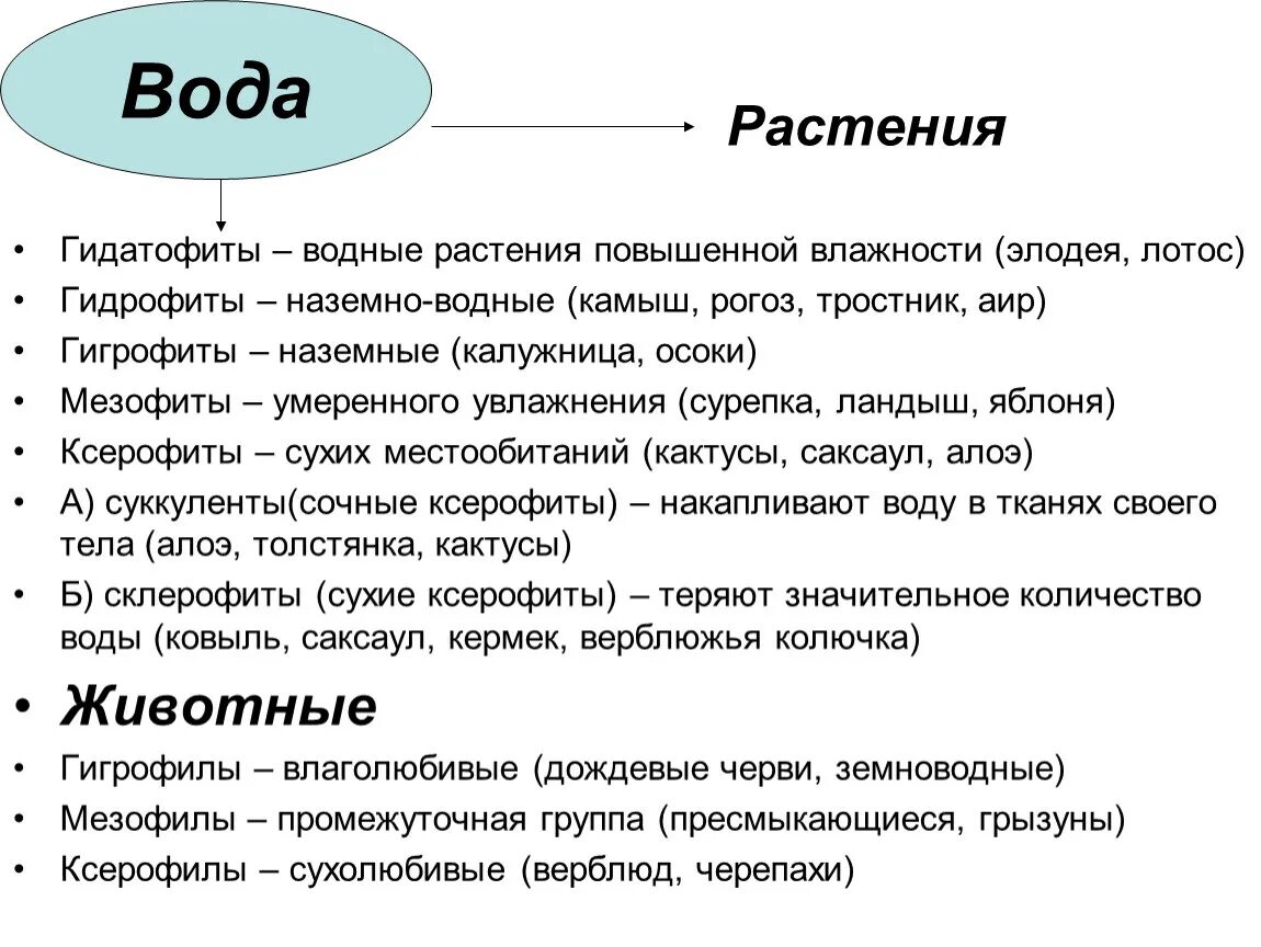 Растения гидрофиты гигрофиты мезофиты ксерофиты. Гидатофиты и гидрофиты таблица. Признаки гидрофитов. Гидрофиты это. Гидрофиты строение.