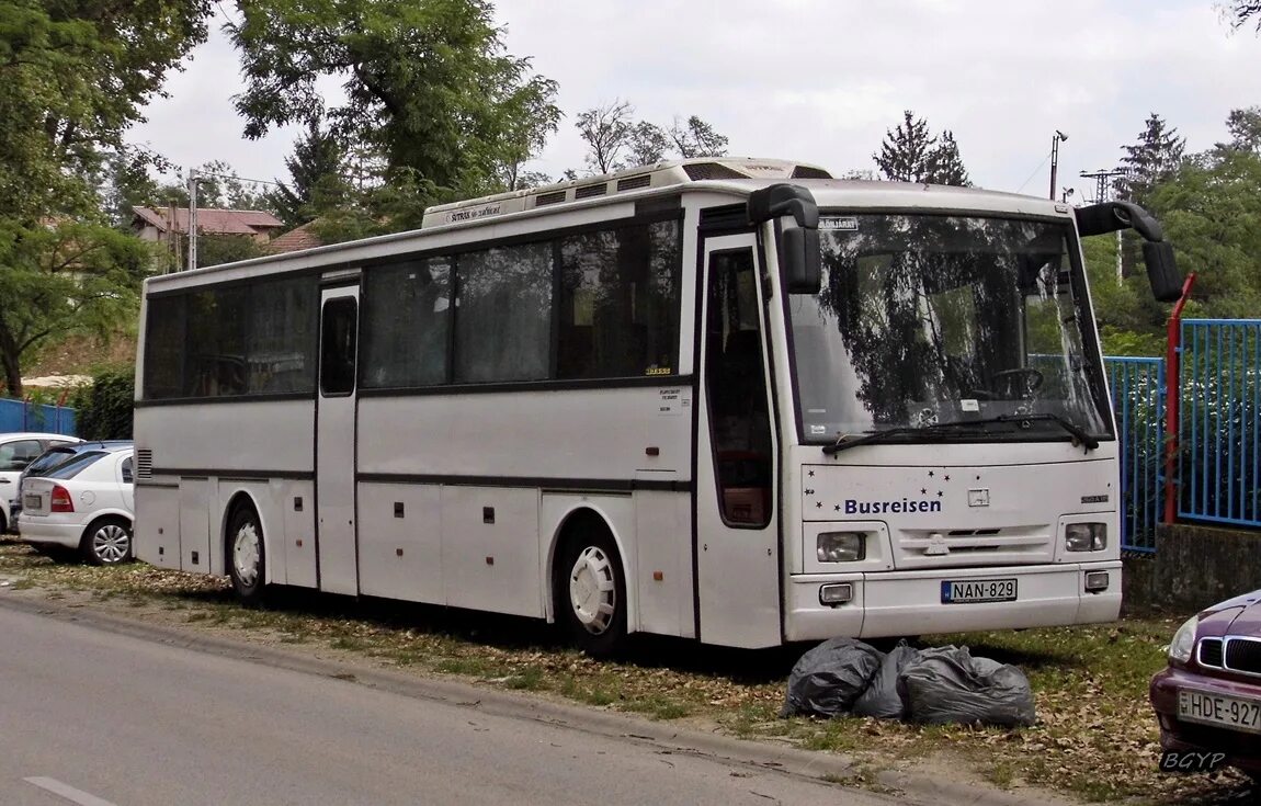 Автобус там 260 119 картинки фото