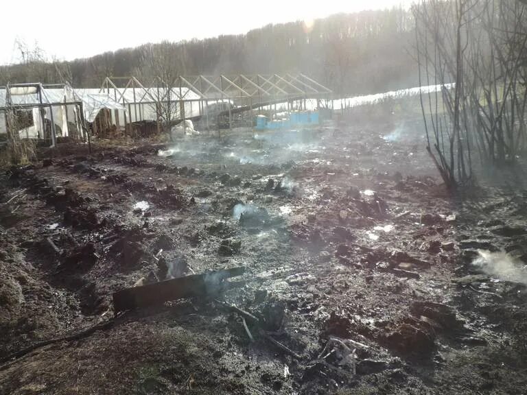 Погода х кубанский белореченского района. Хутор Кубанский Белореченский район. Термы Хутор Кубанский. Белореченский район Хутор Кубанский термальный источник. ДС 33 Хутор Кубанский Белореченский район.