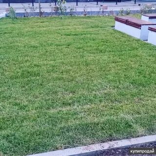 Контракты благоустройство