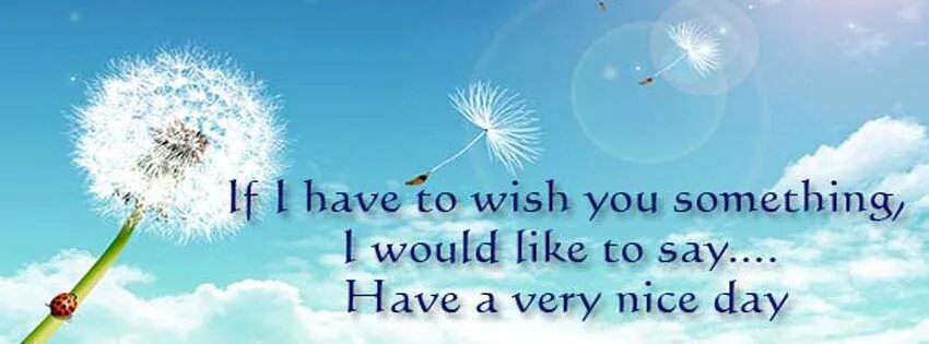 I wish my this. I Wish you a nice Day. Wishing you a nice Day. I Wish you a good Day.