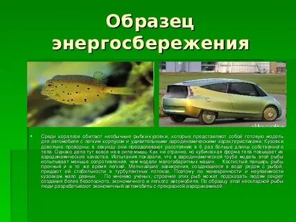 Технологии заимствованные у природы