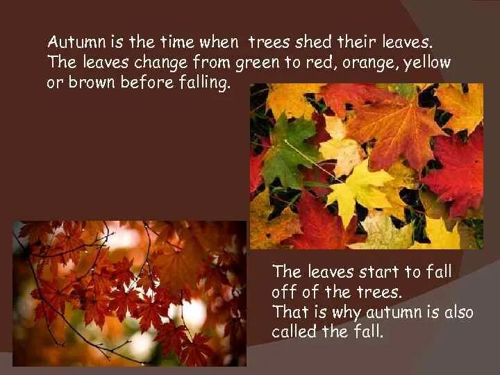 September november. Words for autumn. Идиомы про осень на английском. Осень перевести на английский язык. Words for autumn.