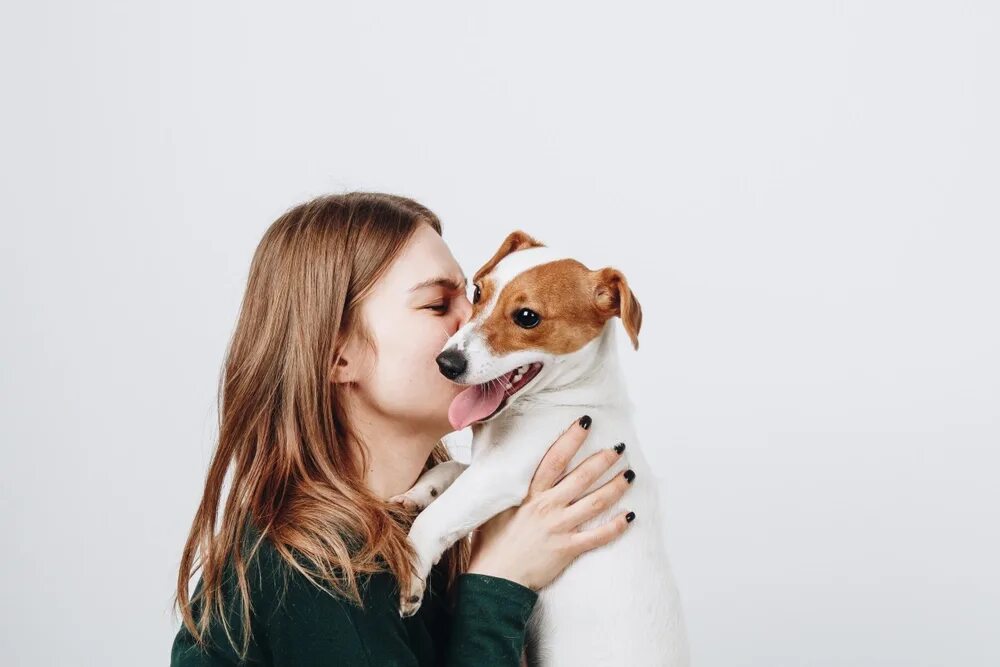 Pets with us