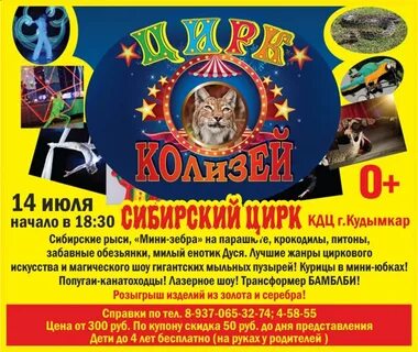 Режим работы цирка