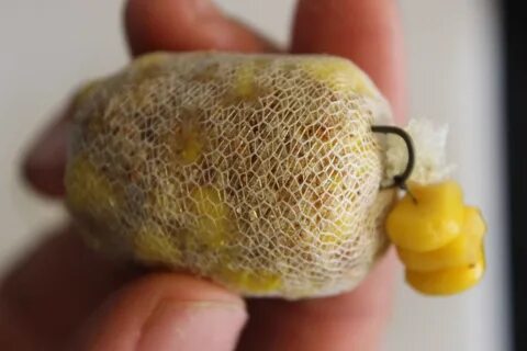 Кукуруза на карпа