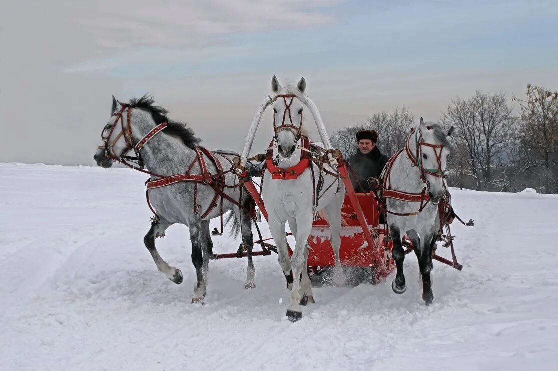 Зимняя тройка Васнецов. Упряжь тройки. Русская тройка лошадей. Тройка лошадей зимой. Времена года на тройке