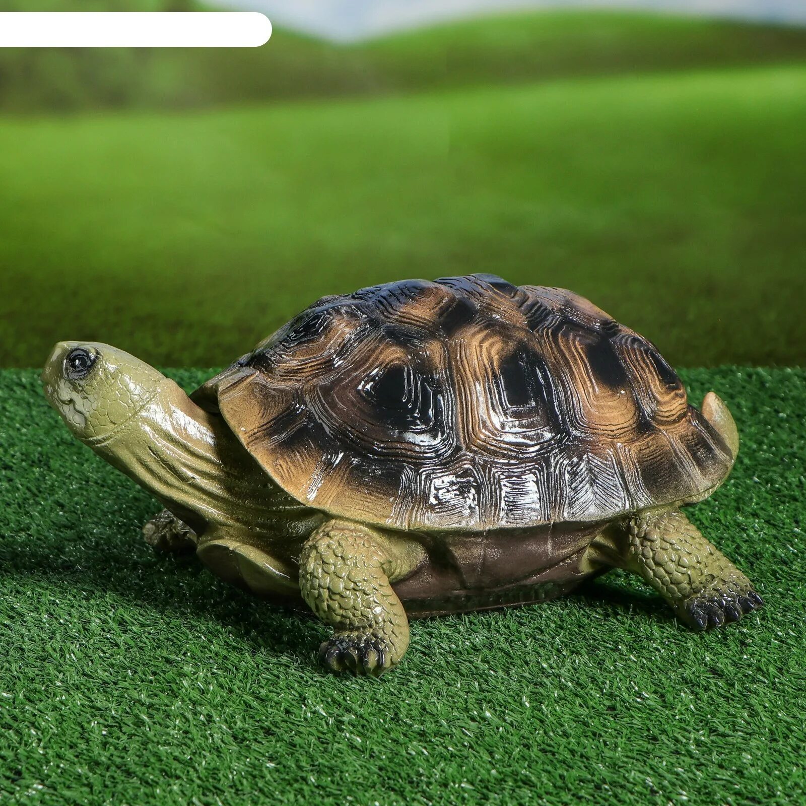 Земноводные черепахи. Садовая фигура "черепаха". Кольчатая горбатая черепаха. Черепаха тартаруга. Расцветки черепах.