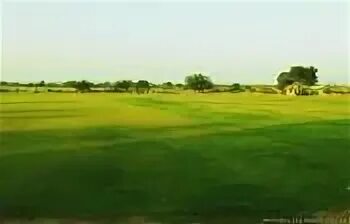 Кофе порошок без фона. На лужайке. Измеритель сопротивления cxt2516a. Газон в перспективе. Michael badal cold (ground control remix) discogs.