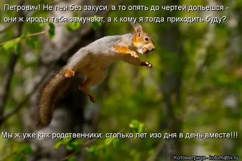 Не пей без меня