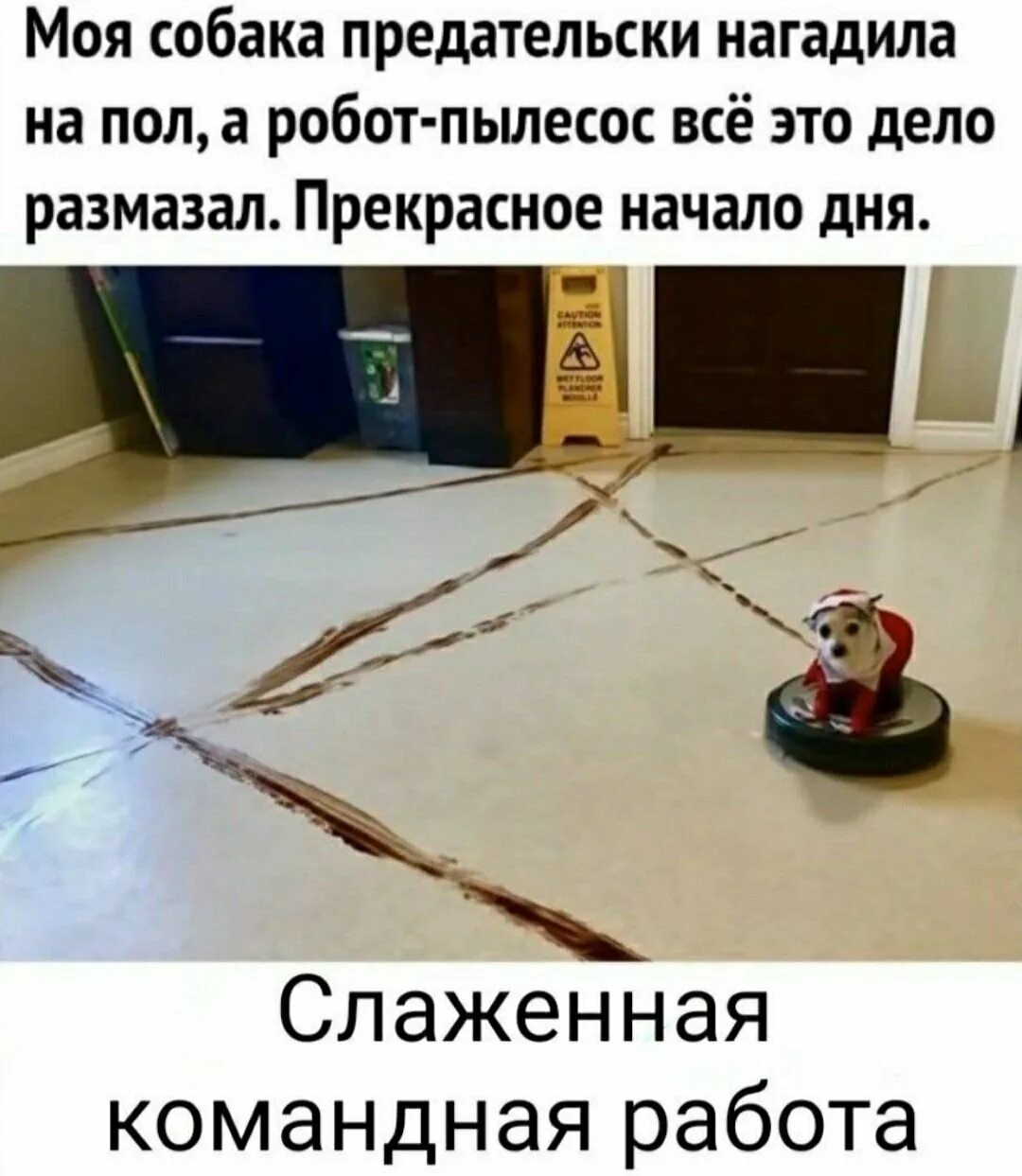 Робот пылесос и собака. Робот пылесос размазал. робот пылесос собака нагадила. мемы про робот пылесос. робот пылесос и собака прикол.