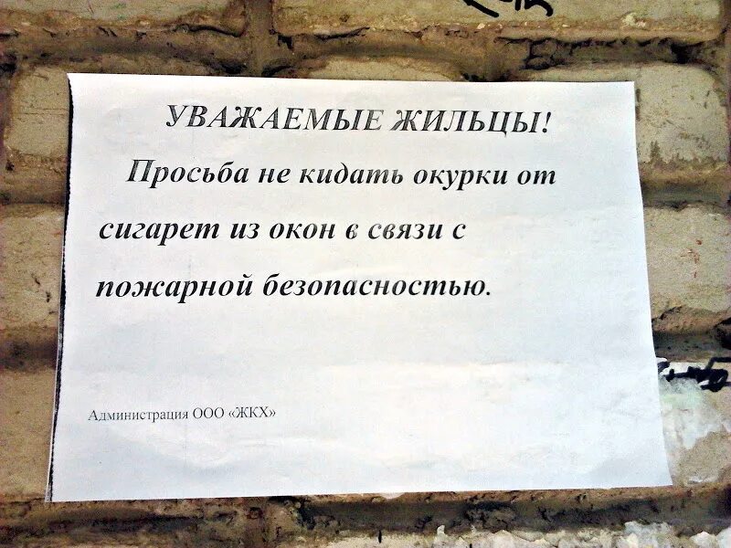 Кидай запрос. Пальцами и яйцами в солонку не лазить. Пальцами и яйцами в солонку не макать плакат. Пальцами и яйцами в солонку. Пальцы и яйца в соль не макать.