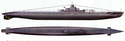 41 вид