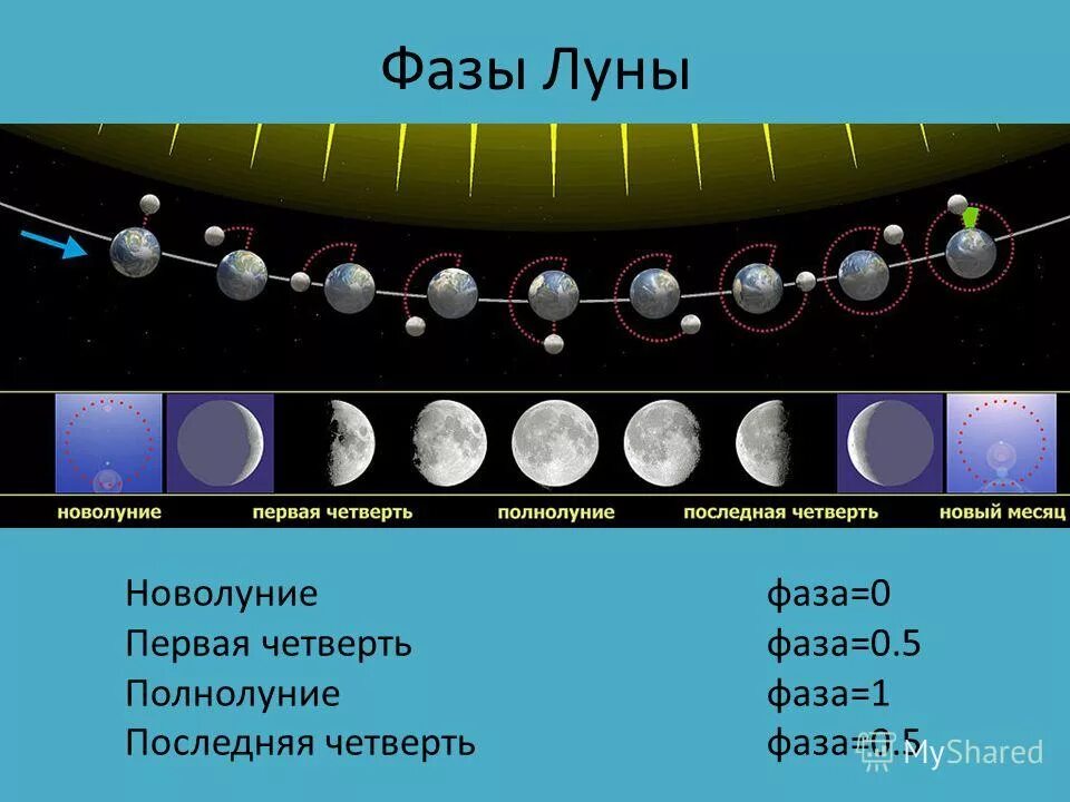 Сколько частей луны