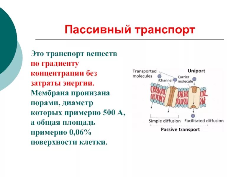 Вещества посредством которых происходит пассивный транспорт. Пассивный мембранный транспорт. пассивный транспорт веществ через мембрану. пассивный транспорт – это транспорт веществ:. механизмы пассивного транспорта.