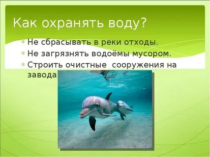 Как люди охраняют