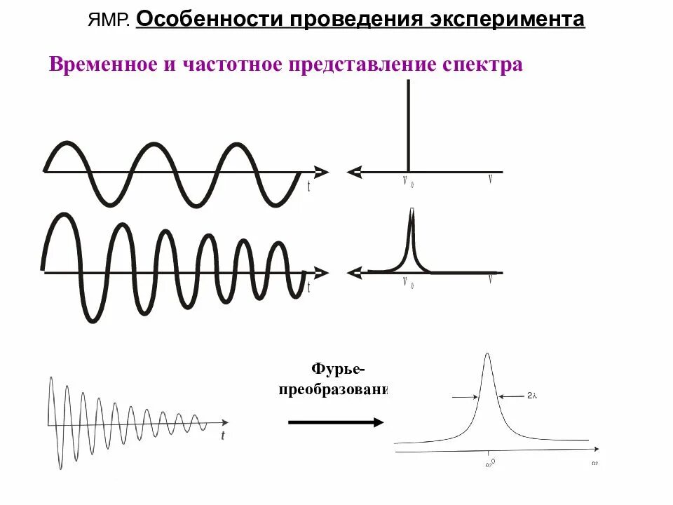 Спектроскопия магнитного резонанса. Спектроскопия магнитного резонанса