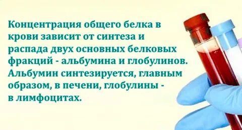 Общего белка