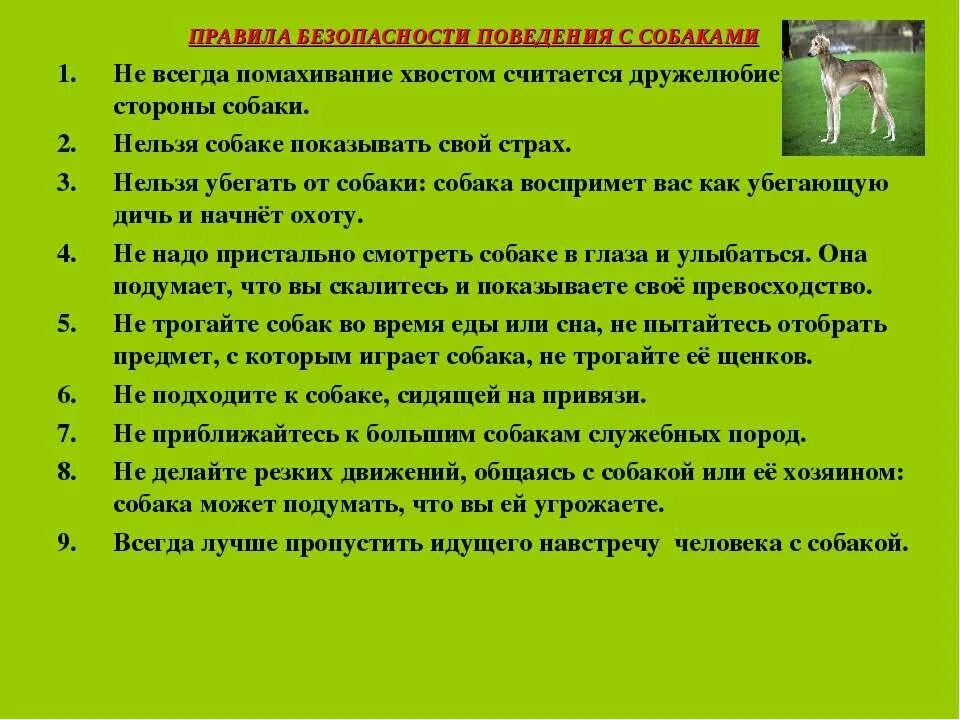 Что делают при встрече