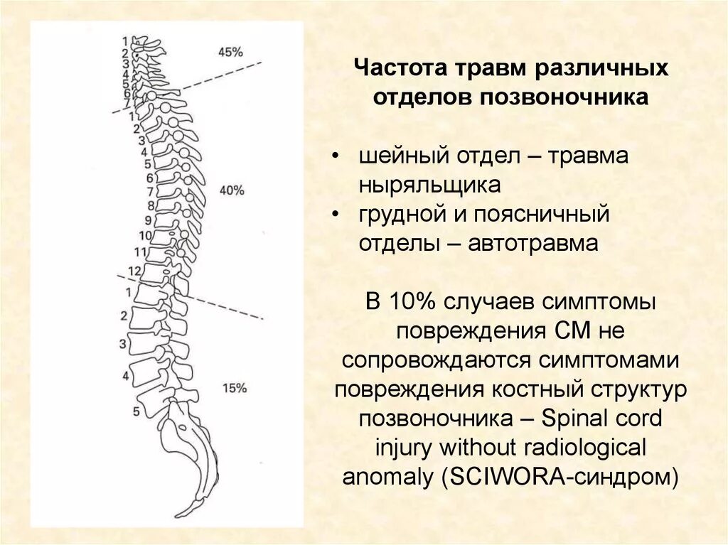 Травма поясничного отдела позвоночника. Ширина спинномозгового канала шейного отдела. Размер спинномозгового канала шейного отдела. Нормальный размер спинномозгового канала в поясничном отделе.