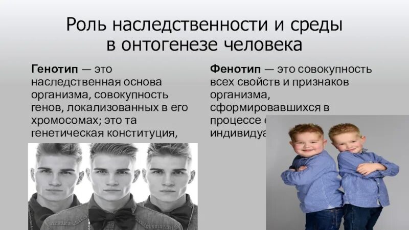 Генетическая среда
