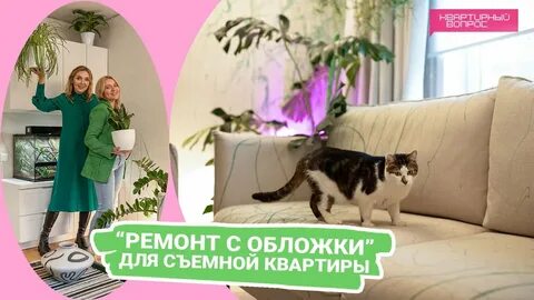 Квартирный вопрос 02.12 2023