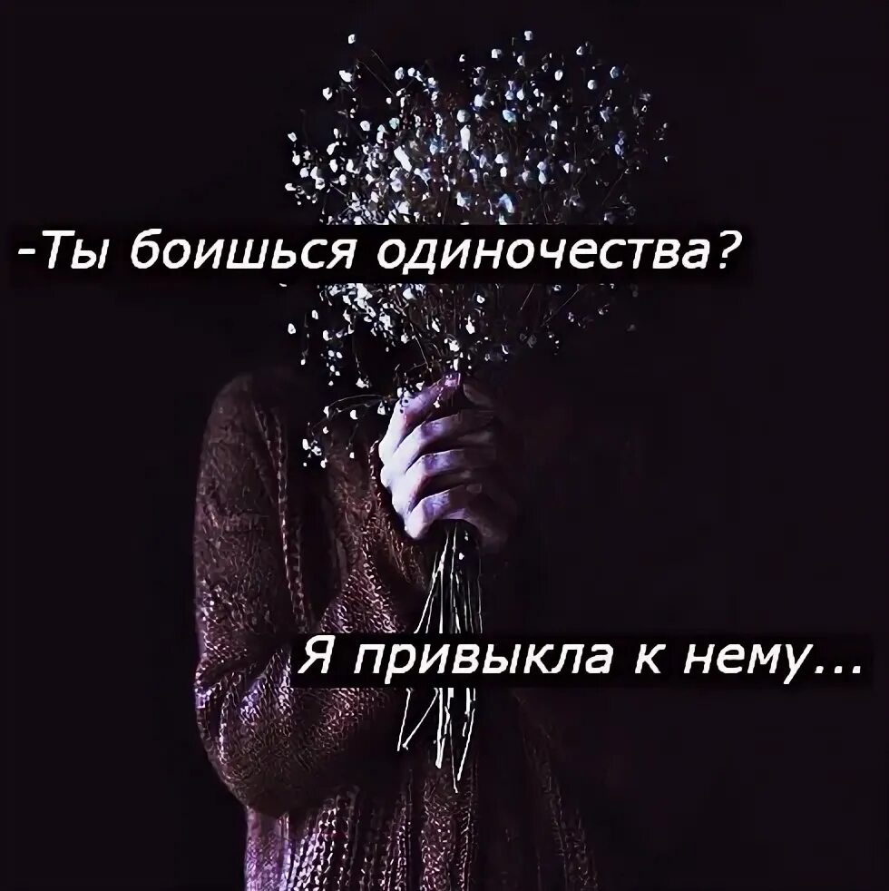 Как привыкнуть к одиночеству. К одиночеству привыкаешь. я привыкла к одиночеству. цитата я к одиночеству привык. одиночество к нему привыкаешь.