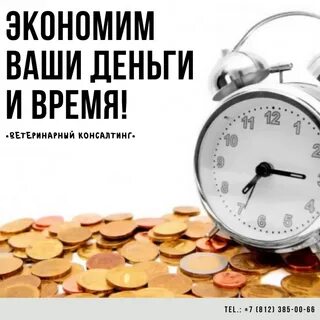 Сэкономить время на поиск