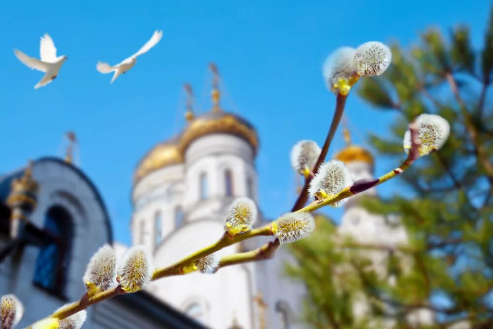 Когда начинается вербная неделя в этом году